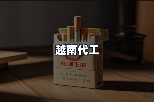 越南代工
